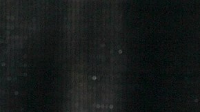 El expresidente Donald Trump con su esposa, Melania Trump.