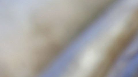 Arrestan a hombre en Michigan acusado de asalto y golpear a empleado en la cabeza con pescado congelado