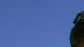 Arrestos de migrantes en la frontera de EE.UU. caen el 96 % este año