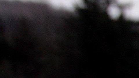 Aumentan a ocho los inmigrantes muertos en un río fronterizo entre Canadá y Estados Unidos