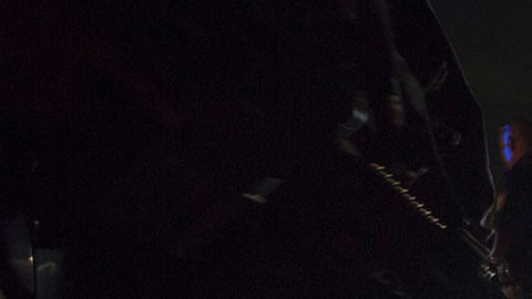 Violencia en Nayarit