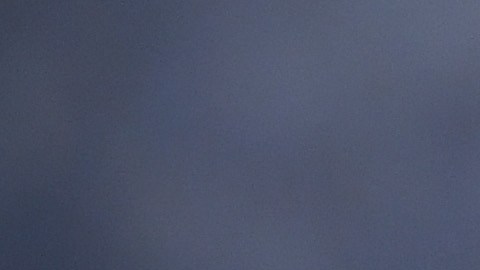 Isco conquistó cinco Champions con el conjunto merengue.