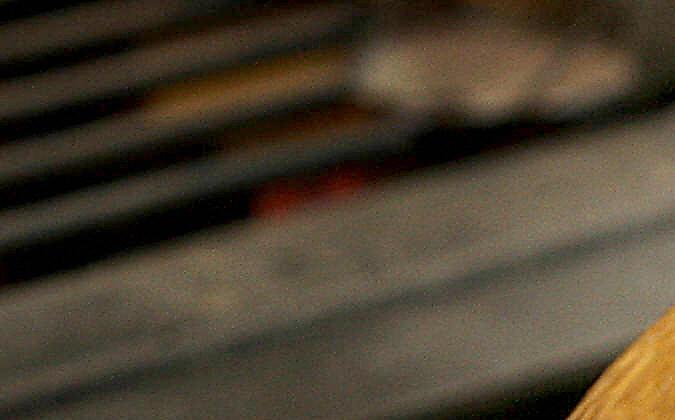 OMS reporta que China tuvo la primera muerte por contagio en humanos de gripe aviar H3N8