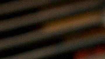 Gripe aviar en EE. UU.: California y Washington reportan poibles casos