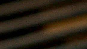 Gripe aviar en EE. UU.: California y Washington reportan poibles casos