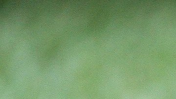 La MLB fue tendencia debido a un altercado entre dos periodistas en el Yankee Stadium.