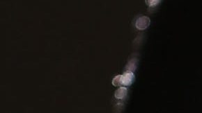 Hombre recibe condena de casi 4 años por vender casi 3 millones de números de beneficiarios de Medicare