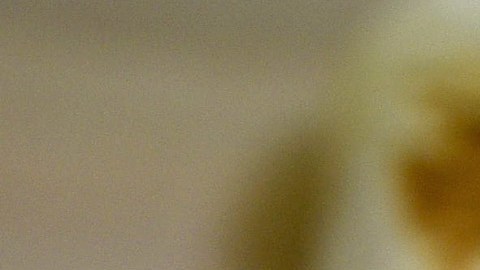 Hombre es detenido en Mississippi tras ocultar arma dentro de una quesadilla en parada de tránsito