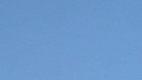 Más de 13,400 niños no acompañados fueron aprehendidos en EE.UU. hasta febrero