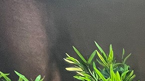 Carlos Ponce y Karina Banda.