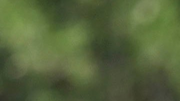 Diego Abreu con las inferiores de la Selección Mexicana.