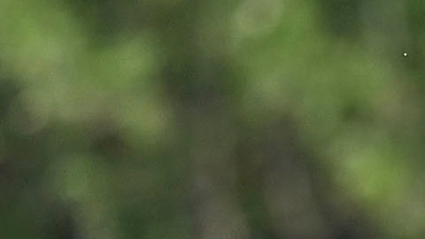 Diego Abreu con las inferiores de la Selección Mexicana.
