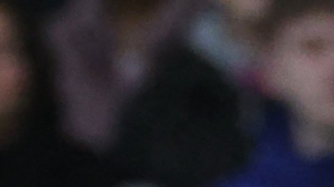 Julen Lopetegui y Raúl Jiménez.