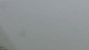 La matrícula sólo tiene una letra y un dígito: "P 7.". / Foto: Getty Images