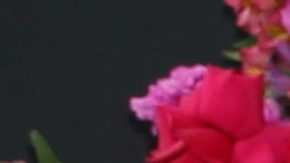 Lili Estefan y Raúl de Molina en el Upfront de Univision.