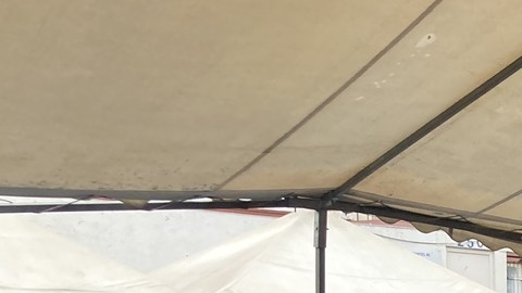 Iglesia llama a Gobierno de México a dejar de ver a migrantes como criminales
