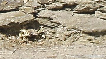 Montserrat Bernabeu, madre de Gerard Piqué, junto a la novia del mismo, Clara Chía Martín.