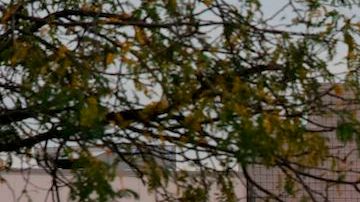 Blake era un conocido miembro de la comunidad que ayudaba a mantener la seguridad de los clientes y del personal. / Foto: AFP/Getty Images