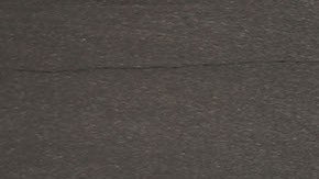 El paseo de perros por la calle es una actividad que puede estar asociada con un riesgo de lesión cerebral traumática. / Foto: Getty Images