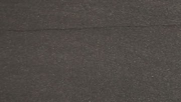 El paseo de perros por la calle es una actividad que puede estar asociada con un riesgo de lesión cerebral traumática. / Foto: Getty Images