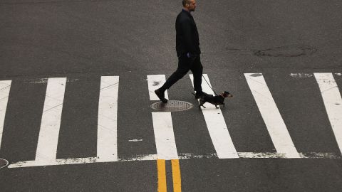 El paseo de perros por la calle es una actividad que puede estar asociada con un riesgo de lesión cerebral traumática. / Foto: Getty Images