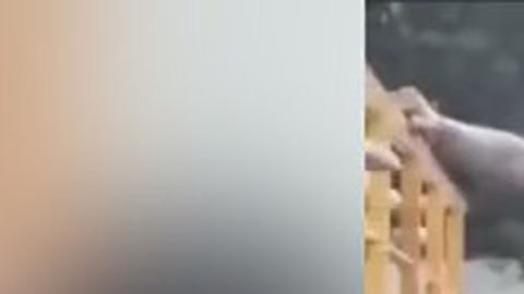 Policías golpean a hombre sin hogar