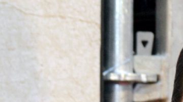 Poncho Herrera y Ana de la Reguera se besan en vía pública - Mezcalent