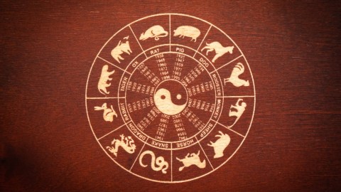 Conoce el Horóscopo Chino para tu signo