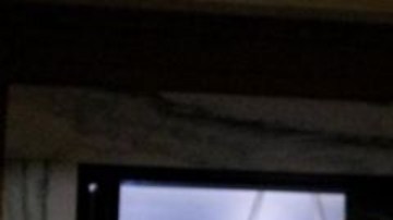 Zooey Zephyr fue censurada en Montana después de oponerse a un proyecto de ley que restringe la atención médica para jóvenes transgénero.