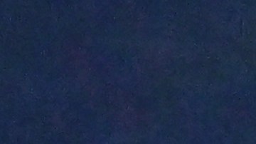 Randy Arozarena celebra con sus compañeros de los Tampa Bay Rays.