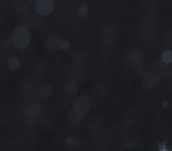 Rauw Alejandro y Rosalía en Nobu en Malibú.