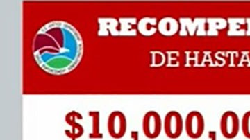 Recompensa por los Chapitos