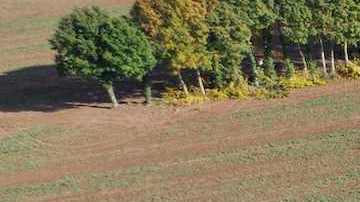 Este nuevo chip de filtro de microondas tiene el potencial de mejorar las comunicaciones inalámbricas, como la 6G. / Foto: AFP/Getty Images