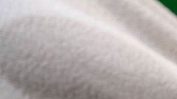 Rescatan a dos perros alcohólicos, uno logra superar la abstención y el otro muere