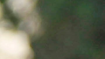 Rosalía y Rauw Alejandro paseando por Los Ángeles.