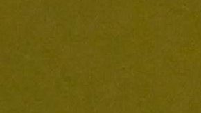 Salma Hayek en el desfile de Gucci 2023.