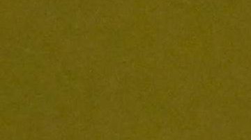 Salma Hayek en el desfile de Gucci 2023.