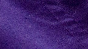 Ser bully o bravucón puede ser un camino eficaz hacia el poder