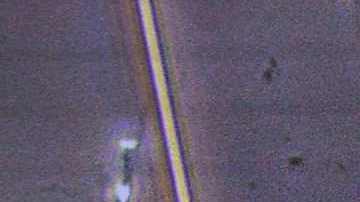 Un holandés que engendró más de 550 hijos ha sido acusado de amenazar el bienestar de los niños por su puro deseo de reproducirse. / / Foto: AFP/Getty Images