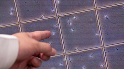 Un holandés que engendró más de 550 hijos ha sido acusado de amenazar el bienestar de los niños por su puro deseo de reproducirse. / / Foto: AFP/Getty Images