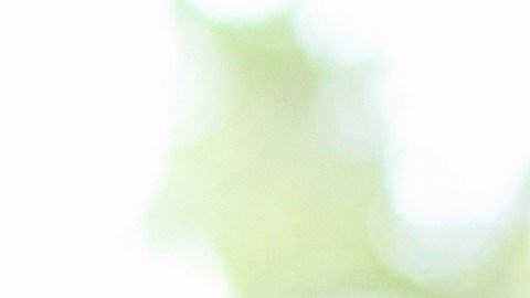 Migrantes en caravana se cosen los labios para presionar al gobierno de México