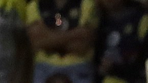 Fernando Ortiz, entrenador del Club América.