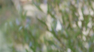 chuchy y adaliz - cortesía