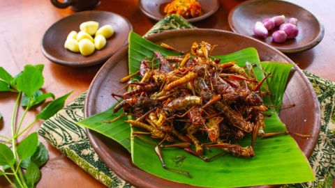 5 riesgos de comer insectos que pueden afectar gravemente tu salud