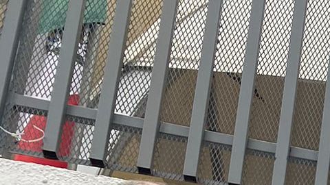 La Red Migrante Centroamericana organizó una manifestación y una vigilia en honor a los 39 migrantes que murieron en Ciudad Juárez.