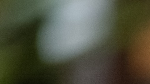 Tauro luce sereno, pero si lo haces enojar es explosivo.