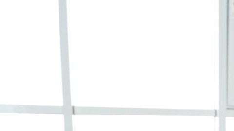 “Decisiones triviales”: por qué estresan tanto y qué hacer al respecto