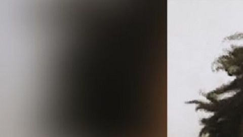 Detuvieron a tercer sospechoso por el homicidio de tres adolescentes en Florida