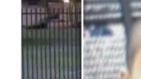 El sospechoso Francisco Oropeza, de 39 años.