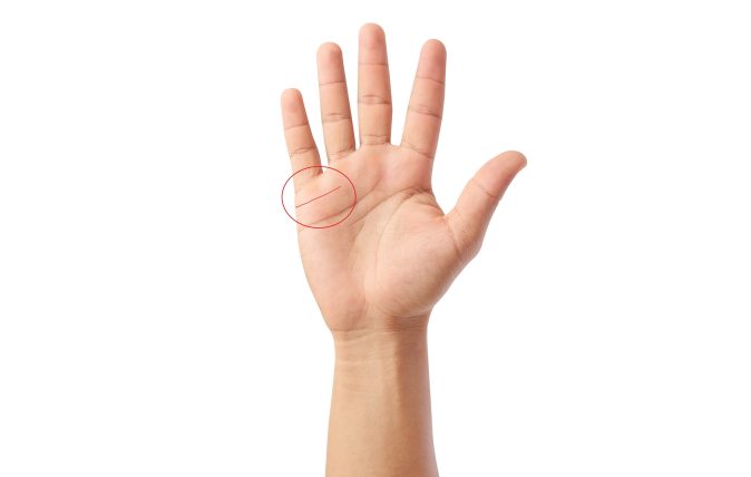 La línea del matrimonio se ubica entre el dedo meñique y la línea del amor. (Foto/Shutterstock)